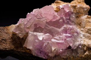 Pink and purple cubes of fluorite.