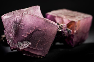 Purple cubes of fluorite. 