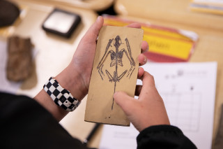 A students holds a bat fossil