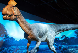 Antarctic Dinosaurs Exhibit