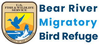 Bear River Migratory Bird Refuge Logo