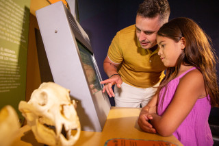 A father and daughter interact with an exhibit feature in Wild World. 