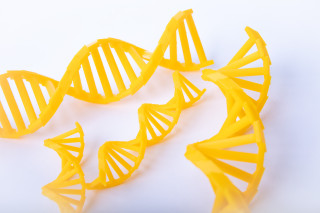 DNA 3D print.