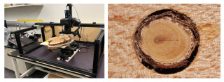 A diptych of the imaging station and a close-up photo of tree rings.