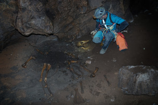 Dr. Tyler Faith, NHMU&#039;s chief curator, examines elk bones inside Skeleton Cave in the Uinta Mountains, Utah.