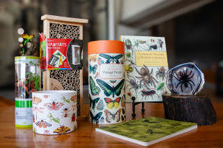 A selection of bug-themed gifts.