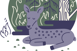 An illustration of a deer laying down in a burning forest. 