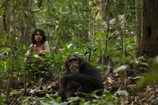 Rachna Reddy watches a chimpanzee from nearby. 