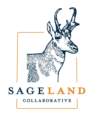 Sageland Collaborative Primary logo