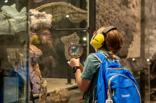 A child wearing ear muffs looks at a dinosaur fossil at NHMU.