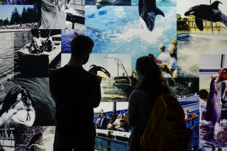 2 people stand in silhouette before a collage of orcas in film 