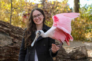 Anne Terry, Director of Education for Tracy Aviary, holding a roseate spoonbill.