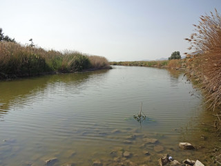 Section of the Jordan River