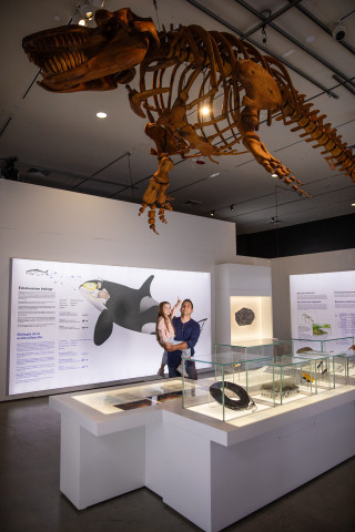 A father and daughter look at a model of a whale fossil.