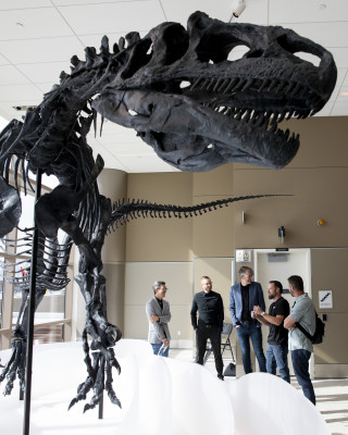 A fossil skeleton of a dinosaur with people standing and talking nearby.