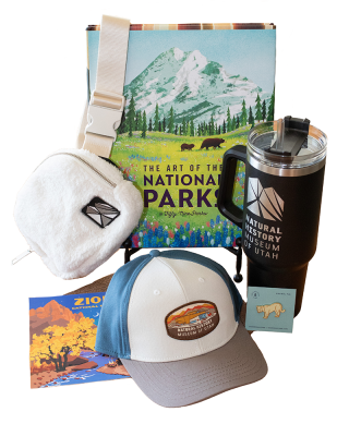 Adventurer Gift Bundle