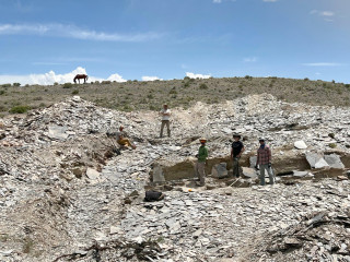 Paleontologists sand in shale on a hillside.