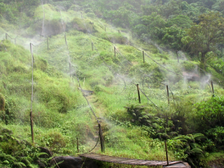 Pipes crisscross a hillside and release a spray of moisture on the greenery. 