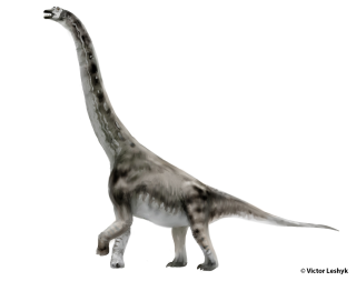 Abydosaurus victor leshyk illustration