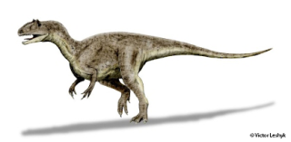 Allosaurus fragillis victor leshyk illustration