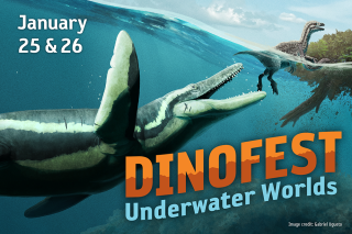 DinoFest 2025 Theme Underwater Worlds