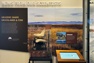 A museum exhibit with a case featuring skull bones.