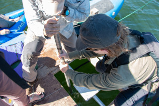 Scientists draw a lake core sample from a lake. 