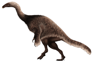 Nothronychus graffami illustration