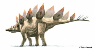 Stegosaurus armatus victor leshyk illustration