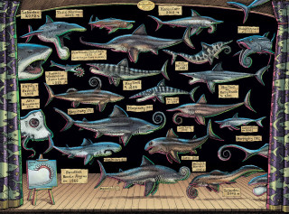 Helicoprion Hypotheses