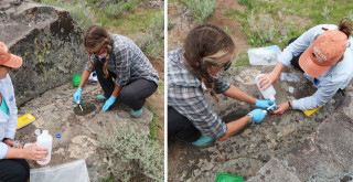Scientists scrub a surface-level metate.
