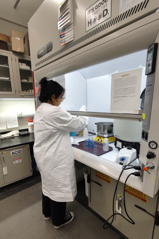 Student researcher preparing Laguna Negra sedimentary samples for pollen analysis