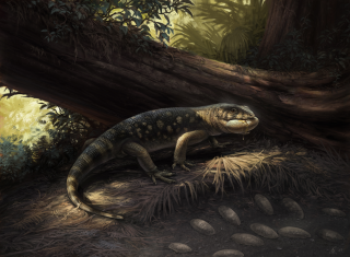 Artistic reconstruction of Bolg amondol