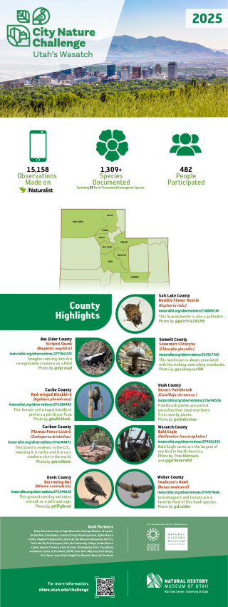 2025 Utah City Nature Challenge Results