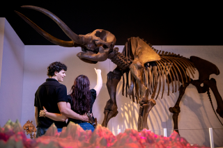 couple looks at mastadon