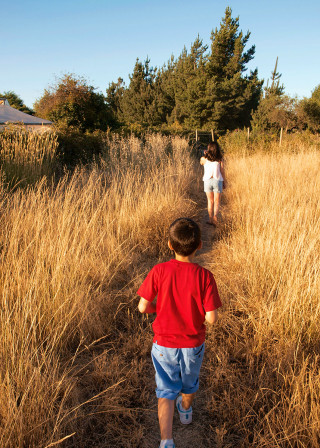 kids walking through brush