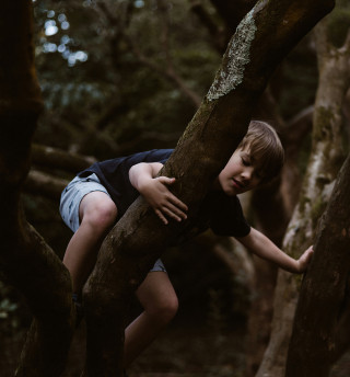 kid climbing a tree