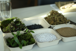 example terrarium supplies