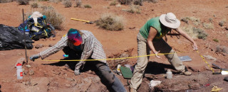 Paleontologists map a discovery they have uncovered in the desert.