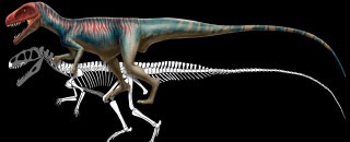 Illustration of Poposaurus gracilis