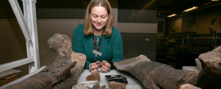 Carrie Levitt-Bussian in holds a fossil in the NHMU Paleontology Collections