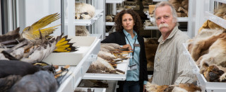 Scientists stand amongst open drawers of a vertebrates collection. 