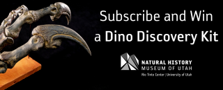 Promotional banner of a Allosaurus claw replica kit
