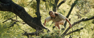 Dr. Jane Goodall climbing in a tree Gombe National Park 