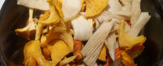Mushrooms in a skillet