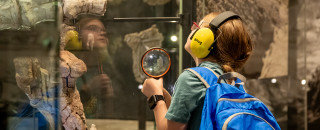 A child wearing ear muffs looks at a dinosaur fossil at NHMU.