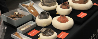 Several ceramic pots and other artifacts in protective wrap with tags