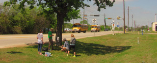 A team of researchers gather around a tree by a roadway. 