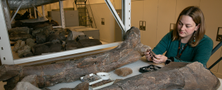 Carrie Levitt-Bussian with Fossils