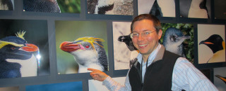 Daniel Ksepka with Penguins